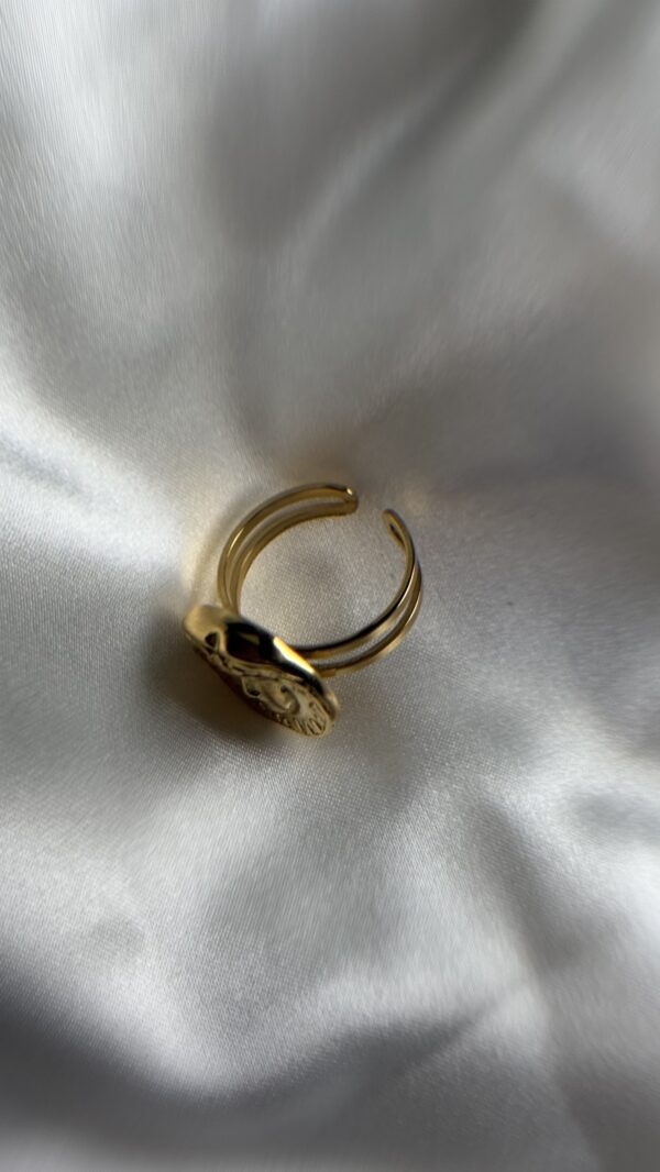 Anillo Rocio - Imagen 2