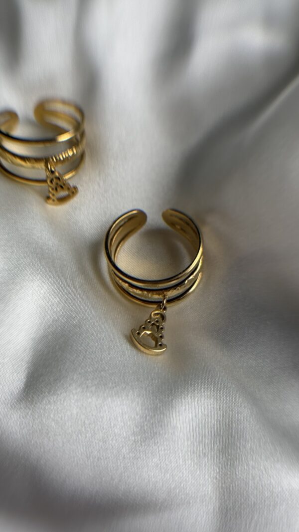 Anillo silueta rocio - Imagen 2