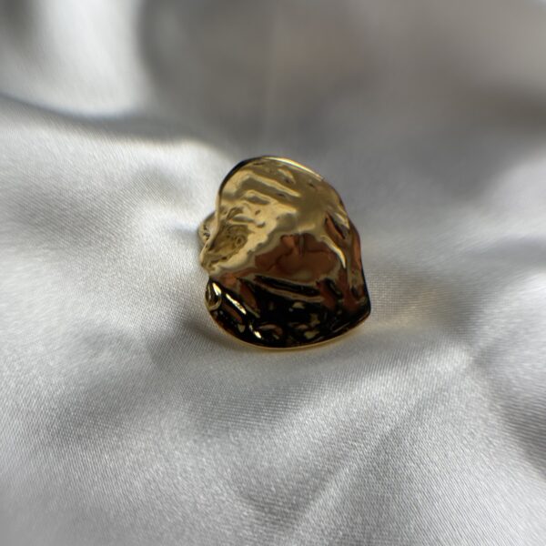 Anillo osiel - Imagen 2