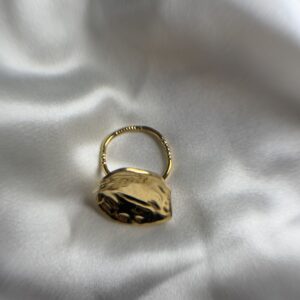 Anillo osiel